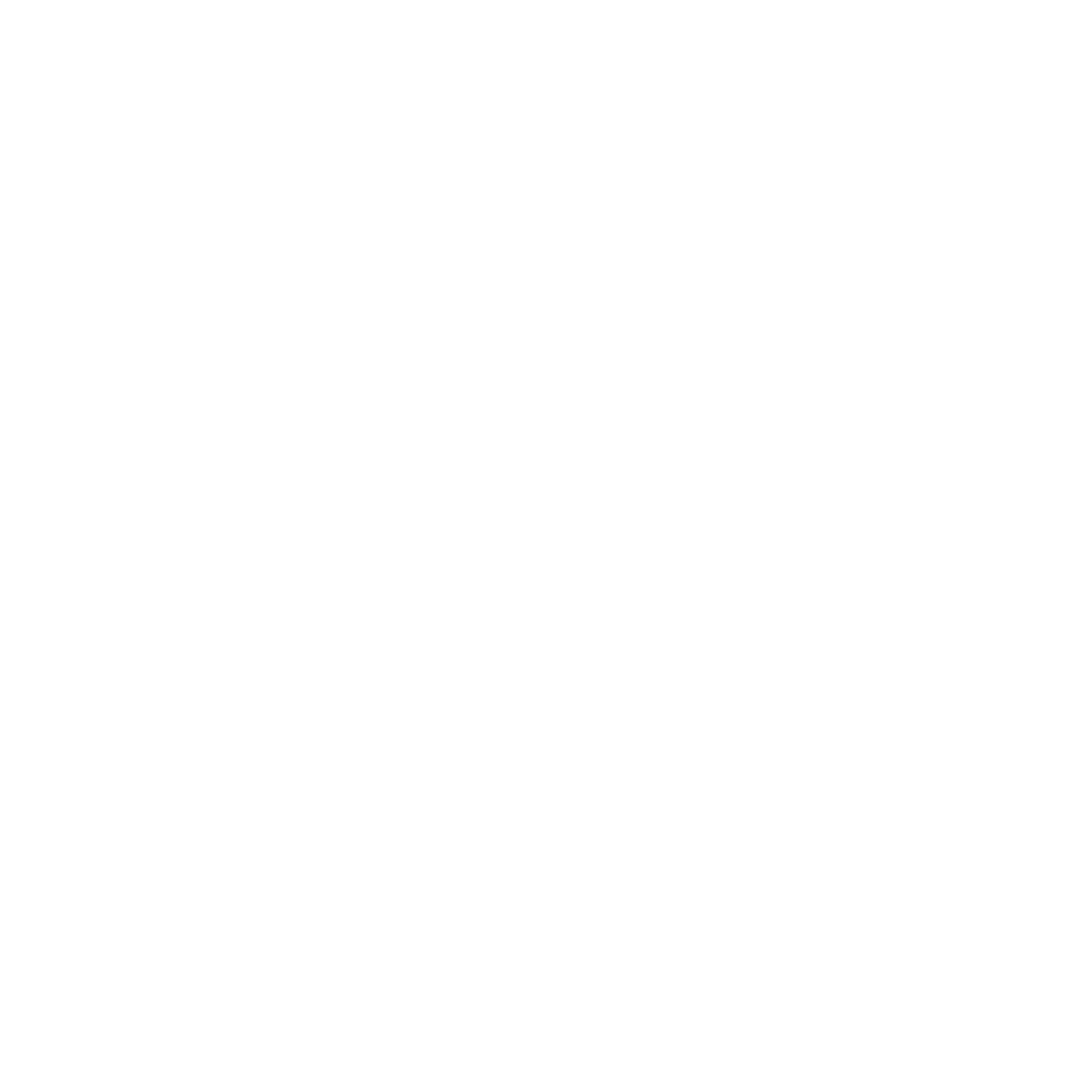 A1 Shield
