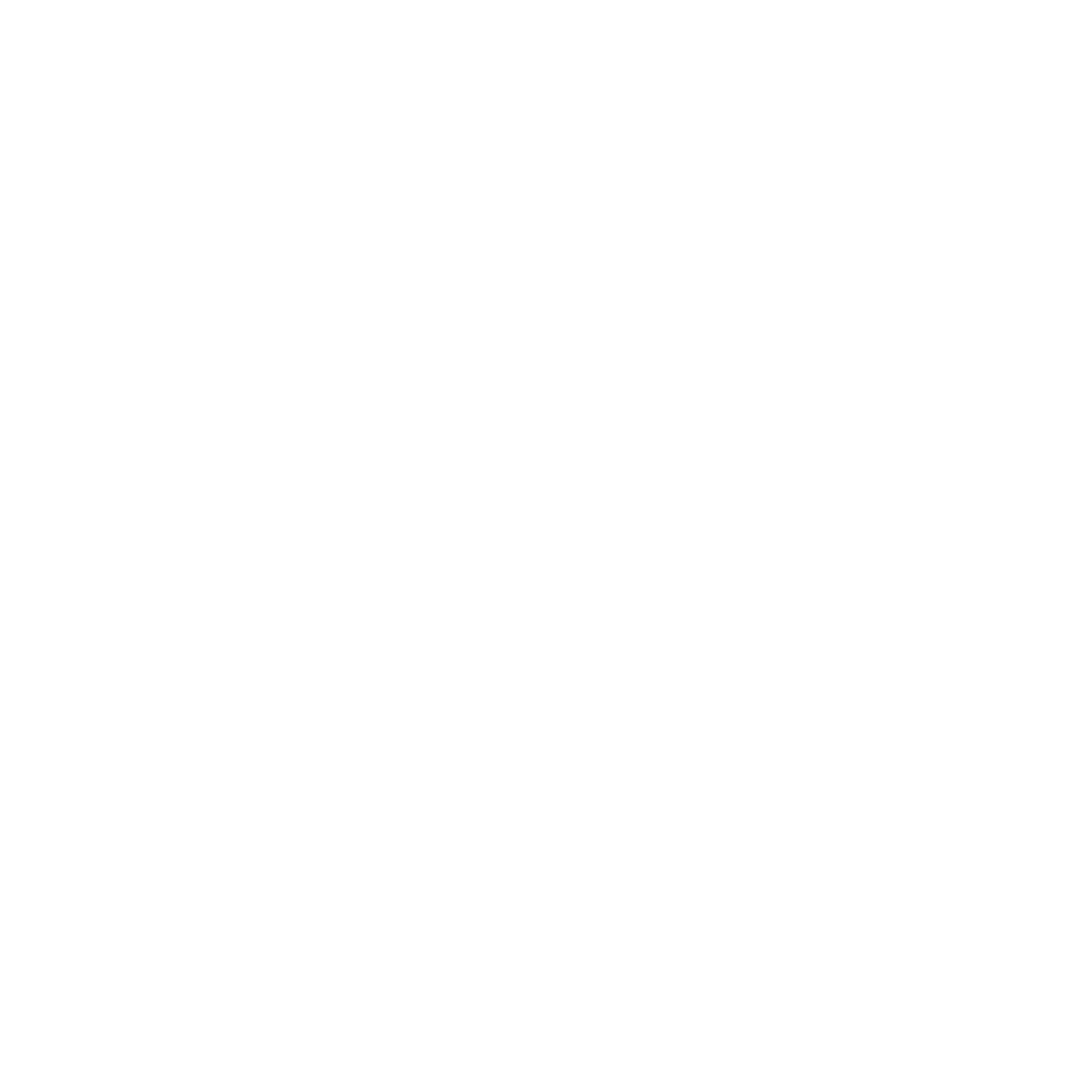 A1 Shield