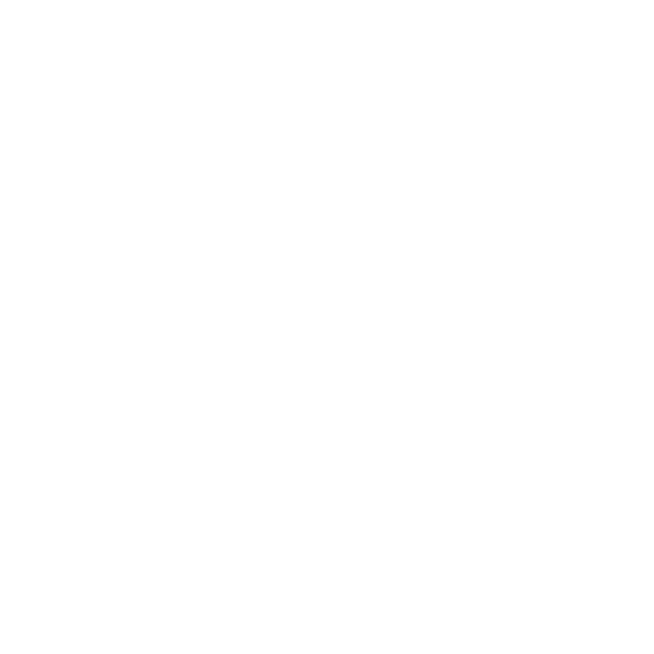 A1 Shield